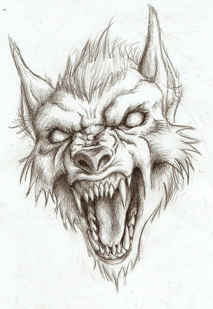 Werewolf Head Drawing (Not My Art!) - #Drawing #Werewolf avec Dessin Loup