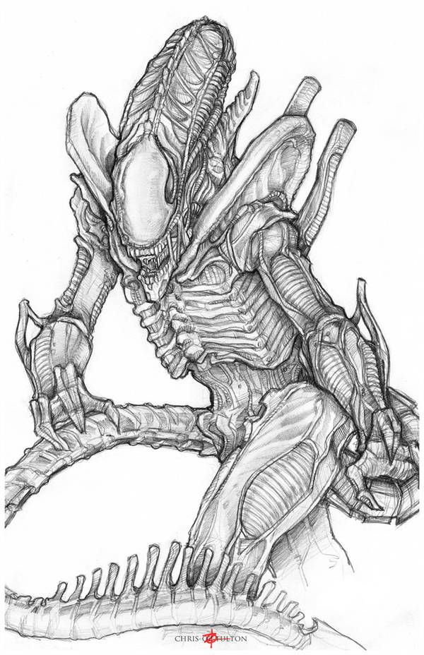 Xenomorph Alien By Chrisozfulton | Alien Tattoo Xenomorph concernant Dessin Xenomorphe,
