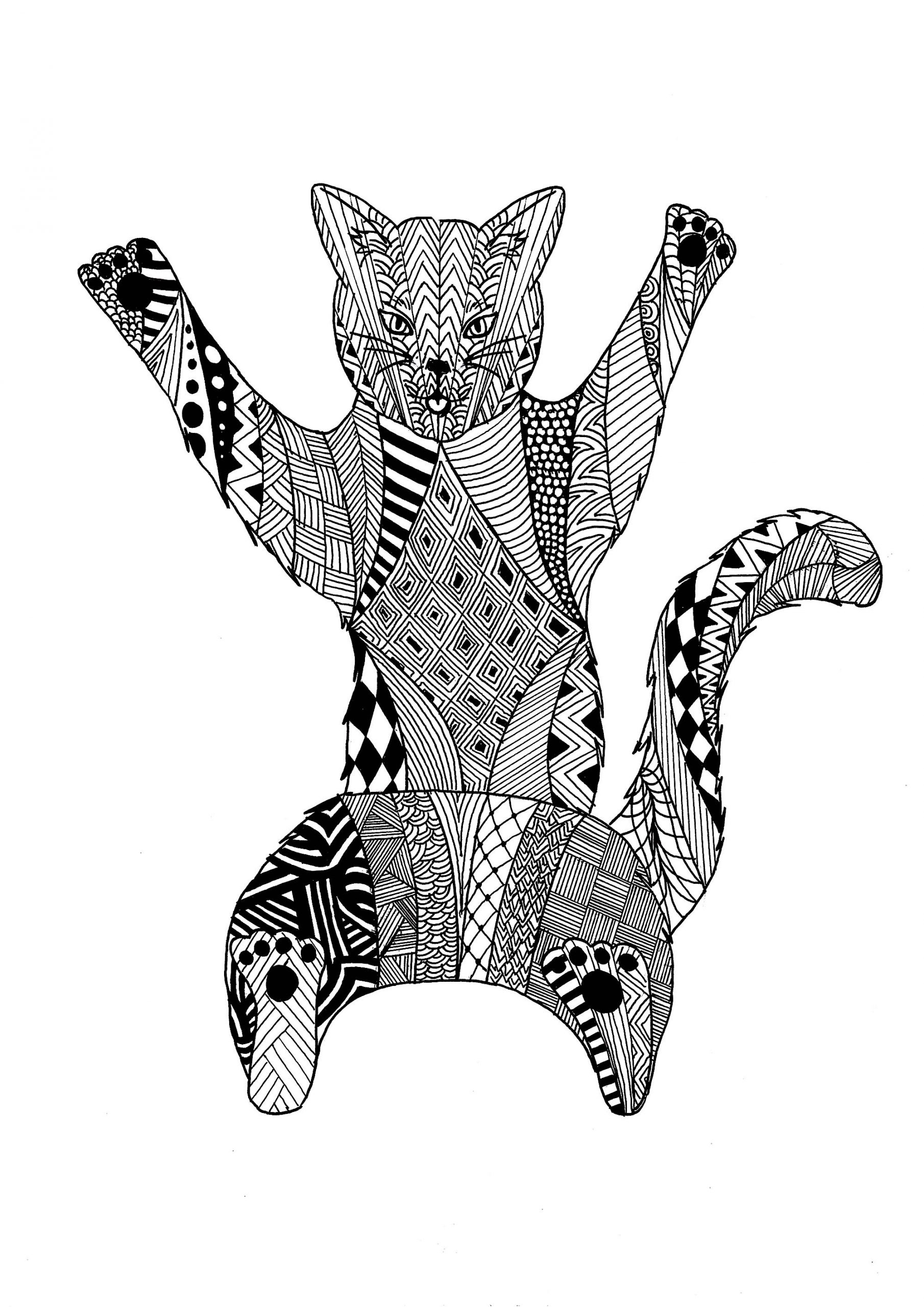 Zentangle Chat - Chats - Coloriages Difficiles Pour Adultes concernant Dessin Chat,