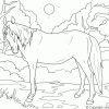 Coloriage Cheval Gratuit 15485 - Animaux pour Coloriage 3D Cheval,