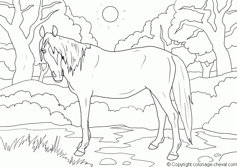 Coloriage Cheval Gratuit 15485 - Animaux pour Coloriage 3D Cheval,