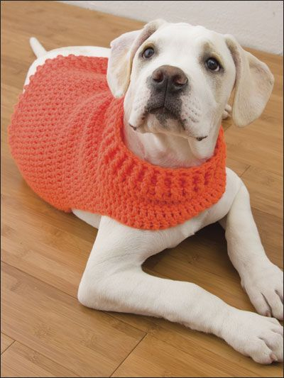 13 Idées De Patron Manteau Chien Crochet | Manteau Pour Chien, Chien intérieur Gratuit Patron Manteau Chien Pdf