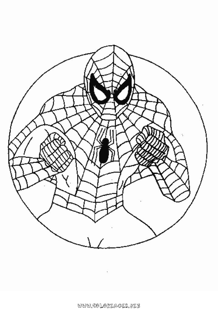 167 Dessins De Coloriage Spiderman À Imprimer Sur Laguerche - Page 12 pour Coloriage À Imprimer Spiderman 3 Gratuit