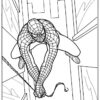 167 Dessins De Coloriage Spiderman À Imprimer Sur Laguerche - Page 14 avec Dessin À Imprimer Gratuit Spiderman