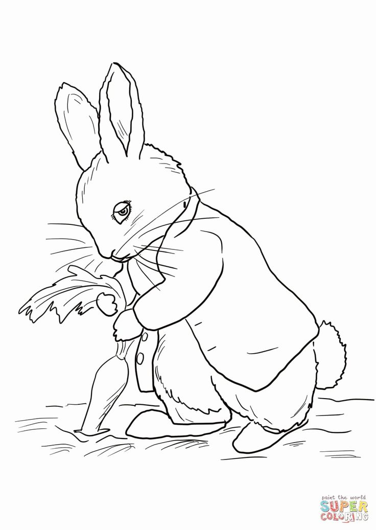 32 Peter Rabbit Coloring Page In 2020 | Beatrix Potter Illustrations dedans Coloriage Pierre Lapin