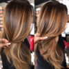 60 Looks With Caramel Highlights On Brown And Dark Brown Hair destiné Couleur Cheveux Marron Chaud