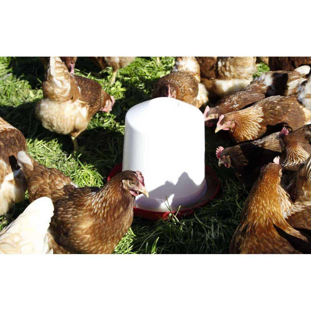 Abreuvoir Pvc Pour Poule - L&amp;#039;Affût De Sologne avec Abreuvoir Poules Tuyau Pvc