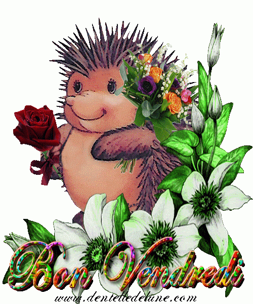 An Image Of A Hedgehog With Flowers On It&amp;#039;S Back concernant Rigolo Gif Animé Bonne Année