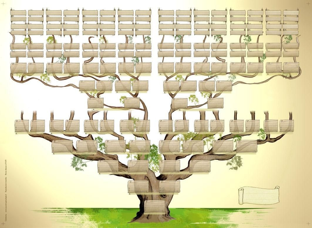 Arbre Genealogique A Imprimer serapportantà Arbre Généalogique Original