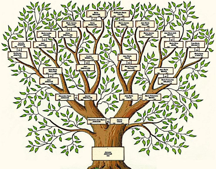 Arbre Genealogique A Imprimer serapportantà Arbre Généalogique Original