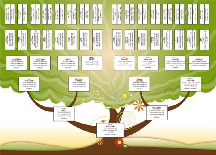 Arbre Généalogique : Quels Sont Les Meilleurs Logiciels ? | Logiciel De tout Arbre Généalogique Original