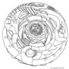 Beyblade Burst 4 Coloring Pages - Free Printable Coloring Pages pour Coloriage Beyblade Burst Shu