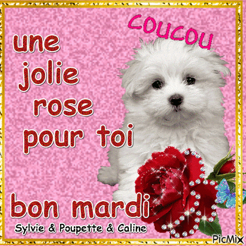 Bon Mardi - Gif Animé Gratuit - Picmix intérieur Gif Bon Mardi