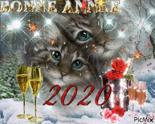 Bonne Année 2020 - Picmix concernant Gif Gratuit Bonne Année 2023