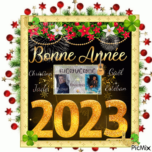 Bonne Année 2023 - Picmix pour Gif Bonne Année 2023 Humour