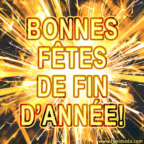 Bonne Année 2024 Gif - Télécharger Sur Funimada à Gif De Bonne Année 2023