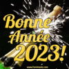Bonne Année 2024 Gif - Télécharger Sur Funimada destiné Gif Bonne Année 2023