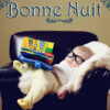 Bonne Nuit #Bonnenuit Humour Bebe Sommeil Endormi Canape | Bon Matin avec Bonne Nuit Humoristique Original