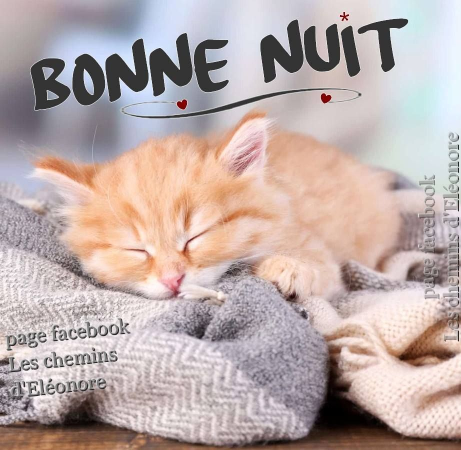 Bonne Nuit Image 4 | Bonne Nuit, Nuit, Bonne Nuit Bisous dedans Rigolo Bonne Nuit Humour