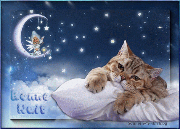 Bonne Nuit Ronronette. Good Night Wishes, Good Night Sweet Dreams serapportantà Bonne Nuit Mon Coeur Gif