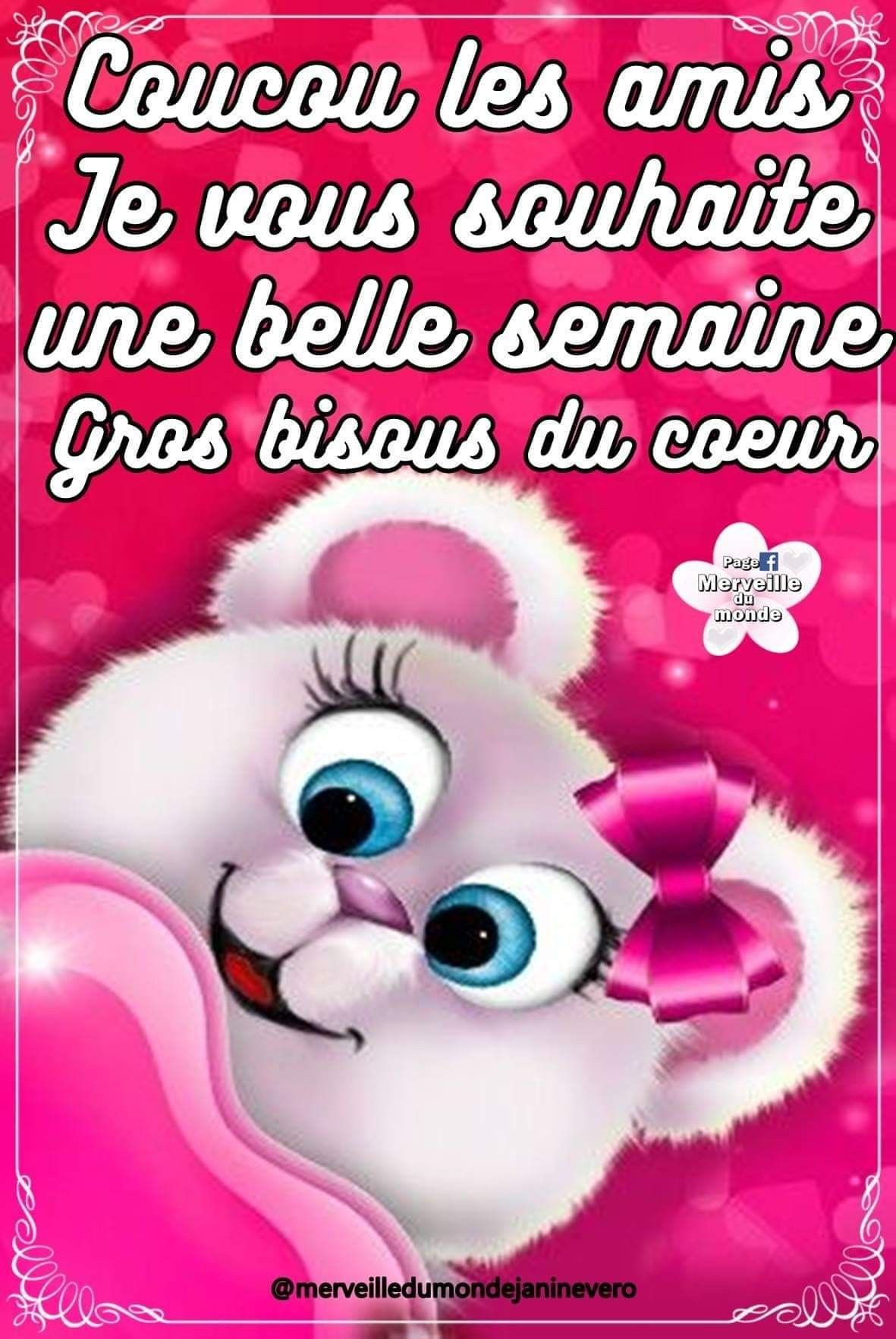 Bonne Semaine À Vous | Bonne Semaine Image, Citation Bonne Nuit destiné Bonne Semaine Humour