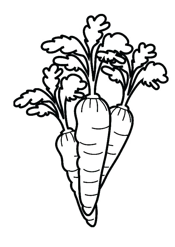 Carrot Coloring Page At Getdrawings | Free Download tout Coloriage Carottes