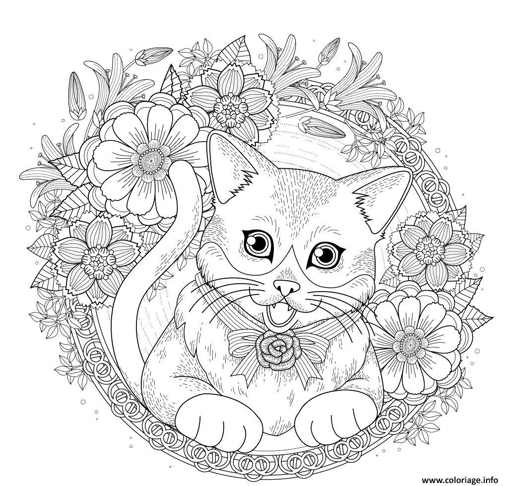 Coloriage Chat Mandala Avec Fleurs Et Roses Dessin Chat À Imprimer intérieur Dessin De Chat À Imprimer
