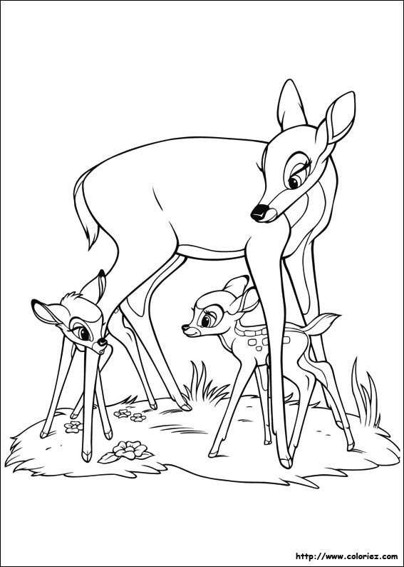 Coloriage - Coloriage Maman Bambi dedans Coloriage Bambi
