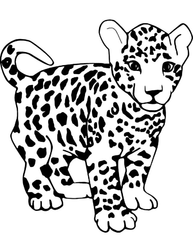 Coloriage De Léopards avec Leopard Coloriage