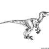Coloriage Jurassic World Raptor Dessin Jurassic World Park À Imprimer à Coloriage Dinosaure Jurassic World
