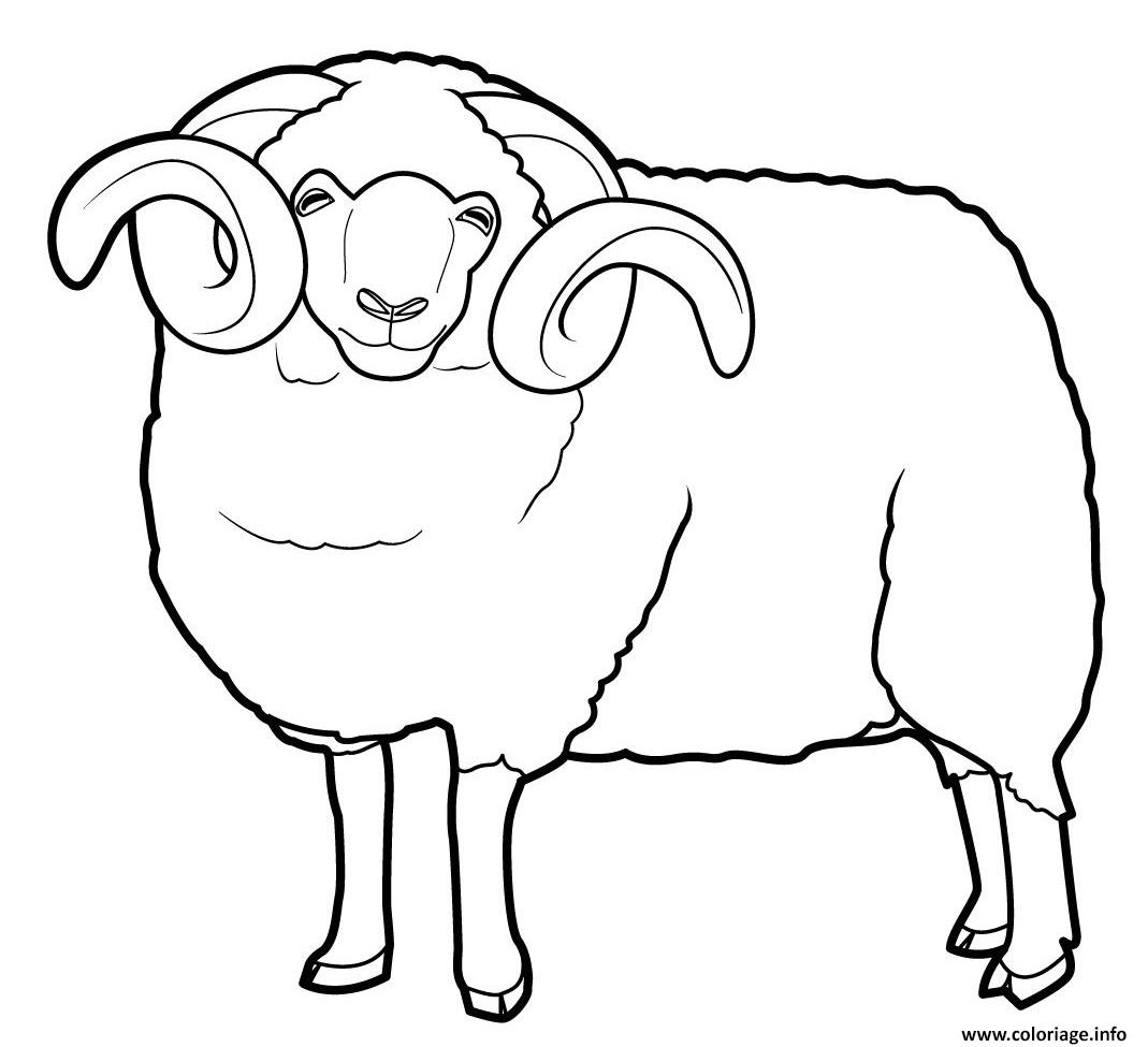 Coloriage Mouton Aid - Jecolorie tout Coloriage Aïd Moubarak À Imprimer