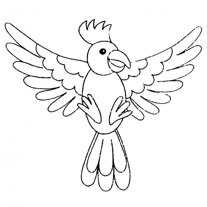 Coloriage Oiseau Perroquet Dessin Gratuit À Imprimer dedans Coloriage De Perroquet