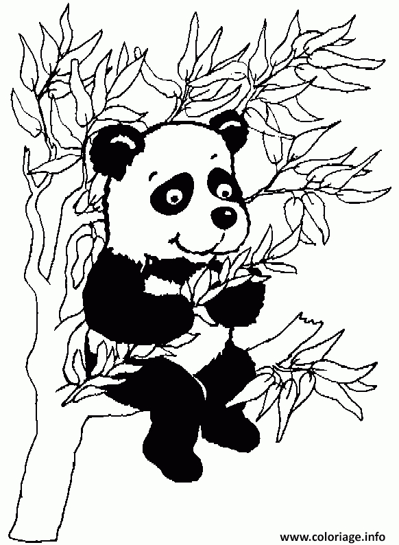 Coloriage Panda Dans Un Arbre Dessin Arbre À Imprimer avec Dessin Panda À Colorier