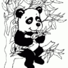 Coloriage Panda Dans Un Arbre Dessin Arbre À Imprimer pour Coloriage Panda À Imprimer