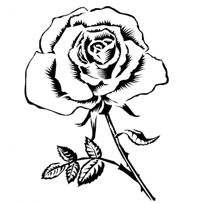 Coloriage Rose Et Coeur Gratuit À Imprimer Liste 20 À 40 pour Rose À Colorier
