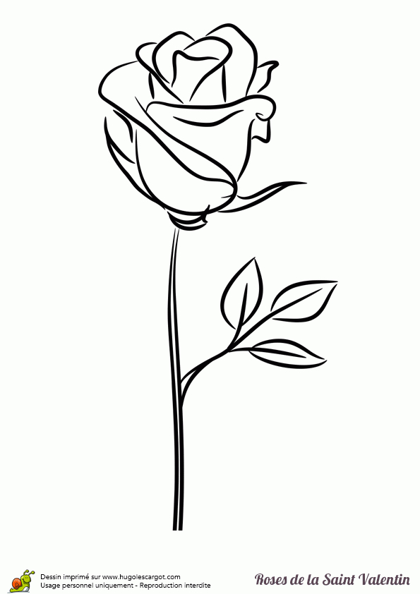 Coloriage Rose Saint Valentin Stylisee Sur Hugolescargot à Rose A Colorier