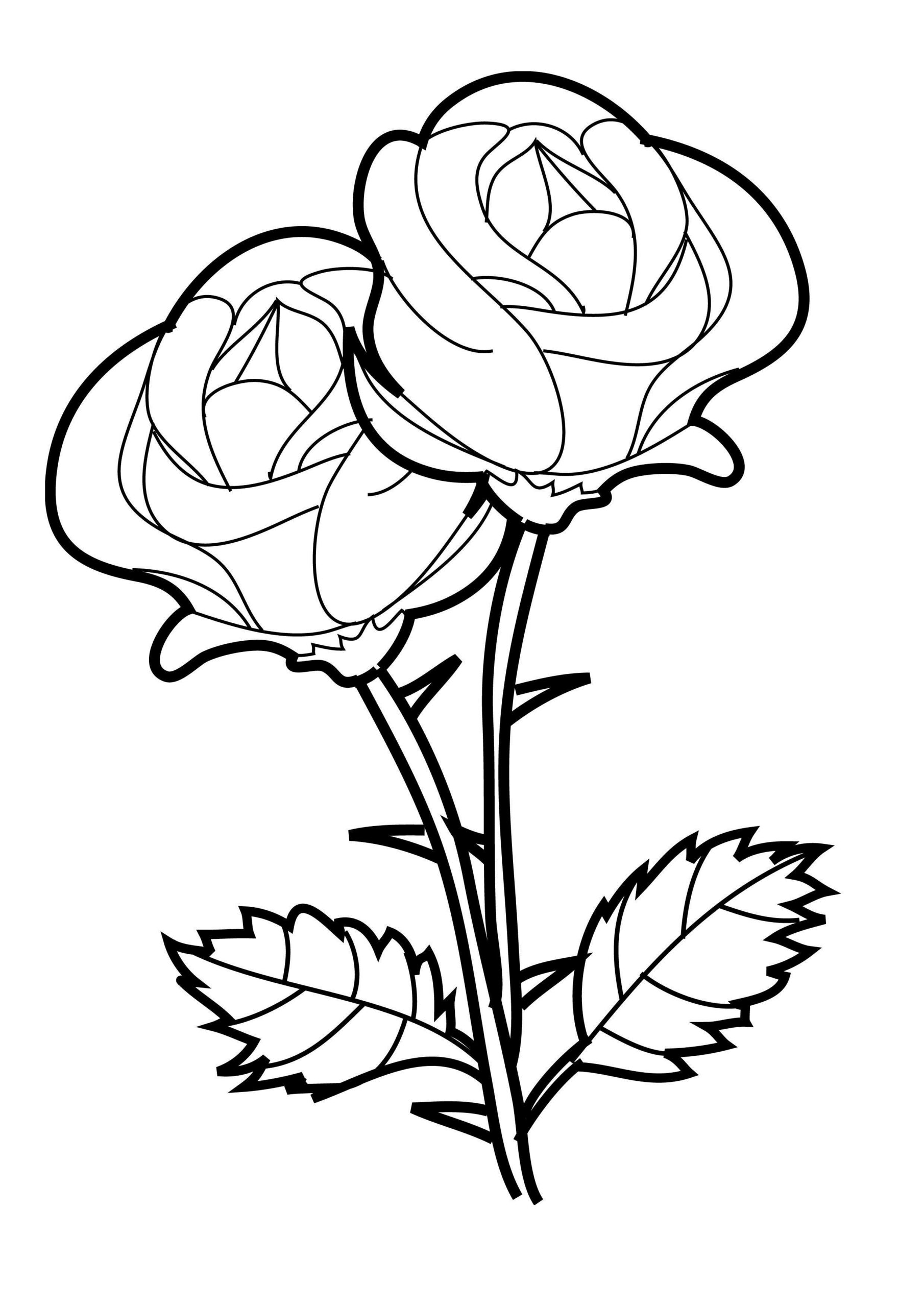Coloriage Roses #161890 (Nature) - Dessin À Colorier - Coloriages À concernant Rose A Colorier