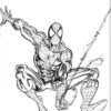 Coloriage Spiderman 132 - Jecolorie intérieur Dessin A Colorier Spiderman