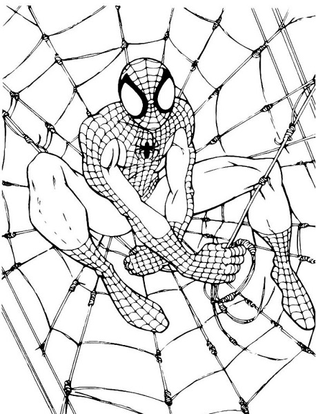 Coloriage Spiderman - Spiderman À Imprimer Gratuit pour Dessin Spiderman À Colorier