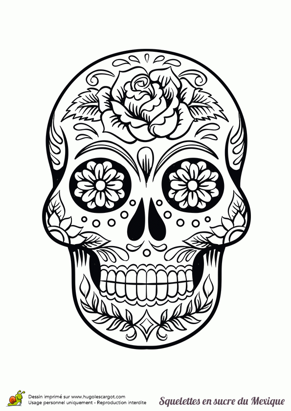 Coloriage Squelette Sucre Roses Fleurs | Skull Coloring Pages, Sugar à Coloriage Tête De Mort Mexicaine