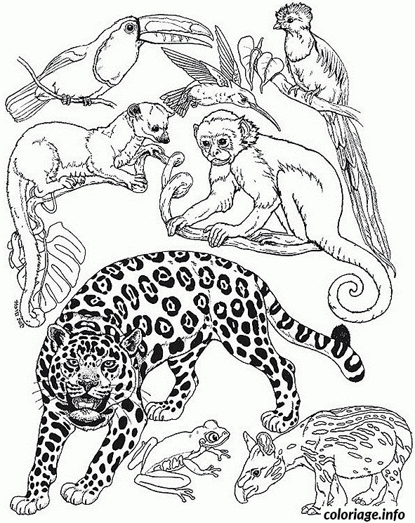 Coloriage Un Guepard Avec Les Animaux De La Jungle - Jecolorie intérieur Coloriage Guépard À Imprimer