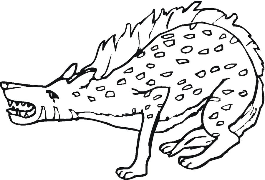 Coloriages: Hyène Imprimable, Gratuit, Pour Les Enfants Et Les Adultes encequiconcerne Coloriage Hyène