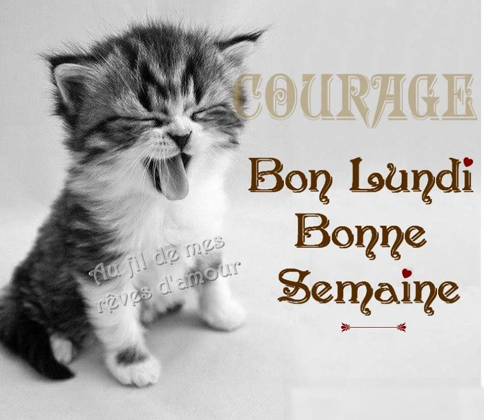 Courage - Bon Lundi - Bonne Semaine - Photos Humour dedans Bonne Semaine Humour