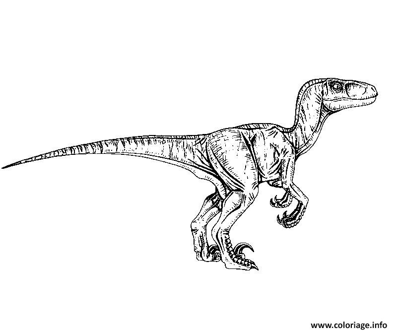 Dessin De Jurassic World - Les Dessins Et Coloriage avec Coloriage Jurassic World Mosasaurus