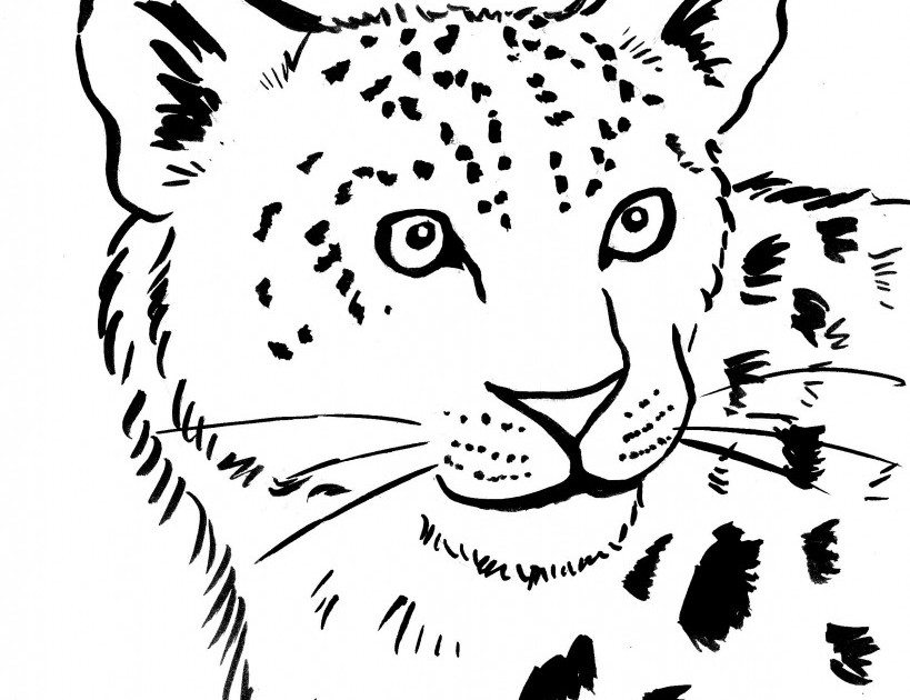 Dessin Léopard #9759 (Animaux) À Colorier - Coloriages À Imprimer dedans Leopard Coloriage