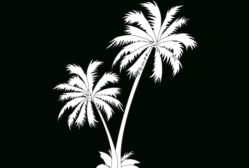 Dessin Palmier #161122 (Nature) À Colorier - Coloriages À Imprimer avec Coloriage Palmier