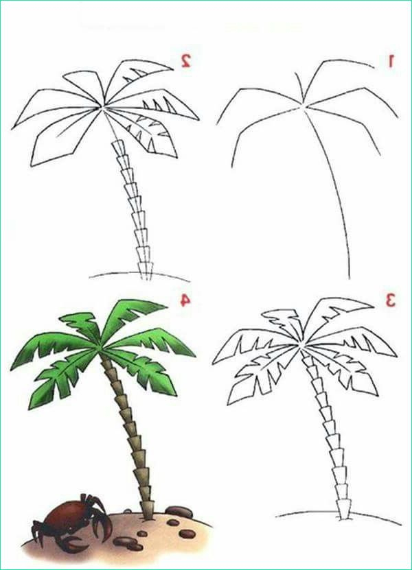Dessin Palmier Facile Impressionnant Collection Palm Tree - Coloriage intérieur Coloriage Palmier Facile