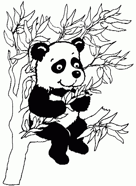 Dessins De Panda À Colorier concernant Dessin Panda À Colorier