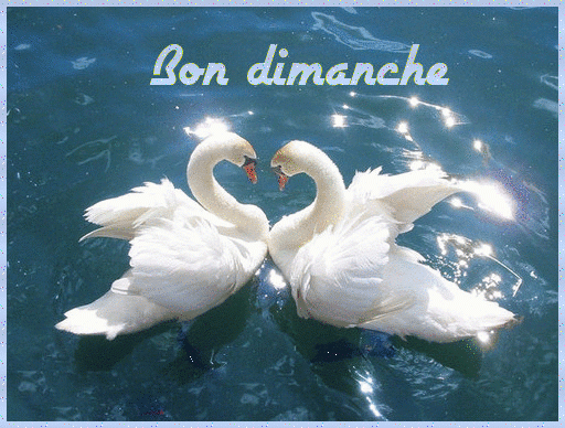 Dimanche Gifs Animes tout Gif Bon Dimanche Rigolo