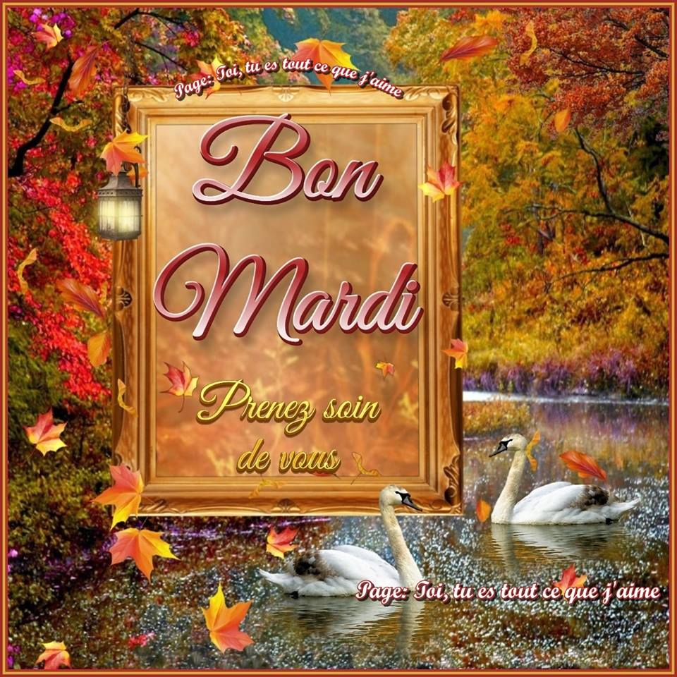 ᐅ 136 Mardi Images, Photos Et Illustrations Pour Whatsapp - Bonnes Images tout Bon Mardi Citation